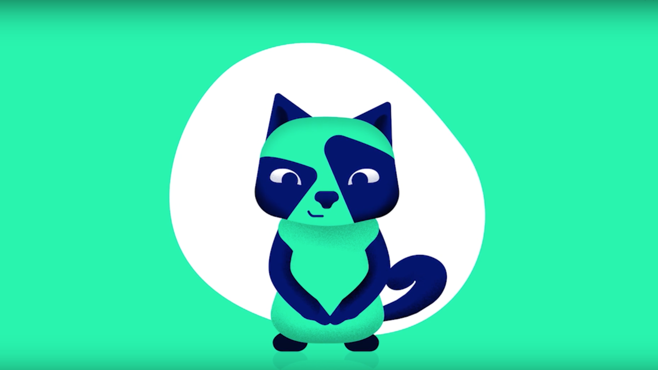 image video walt