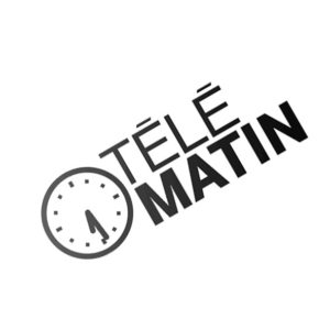 logo telematin