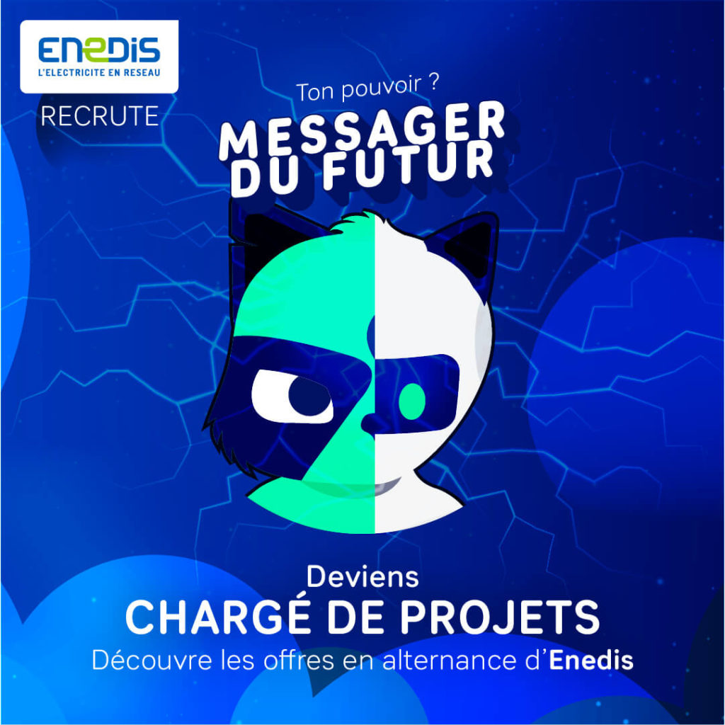 enedis 210409 charge de pro