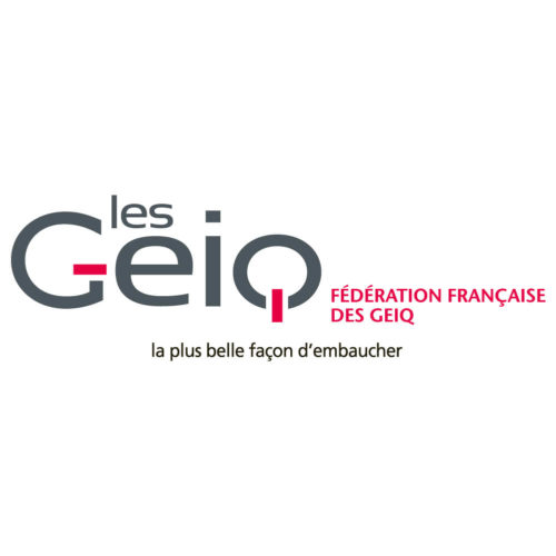 logo ffgeiq carre