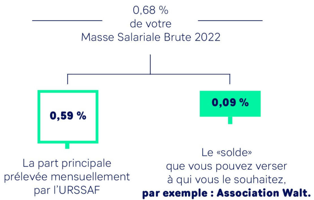 schema ta 2023 sans titre