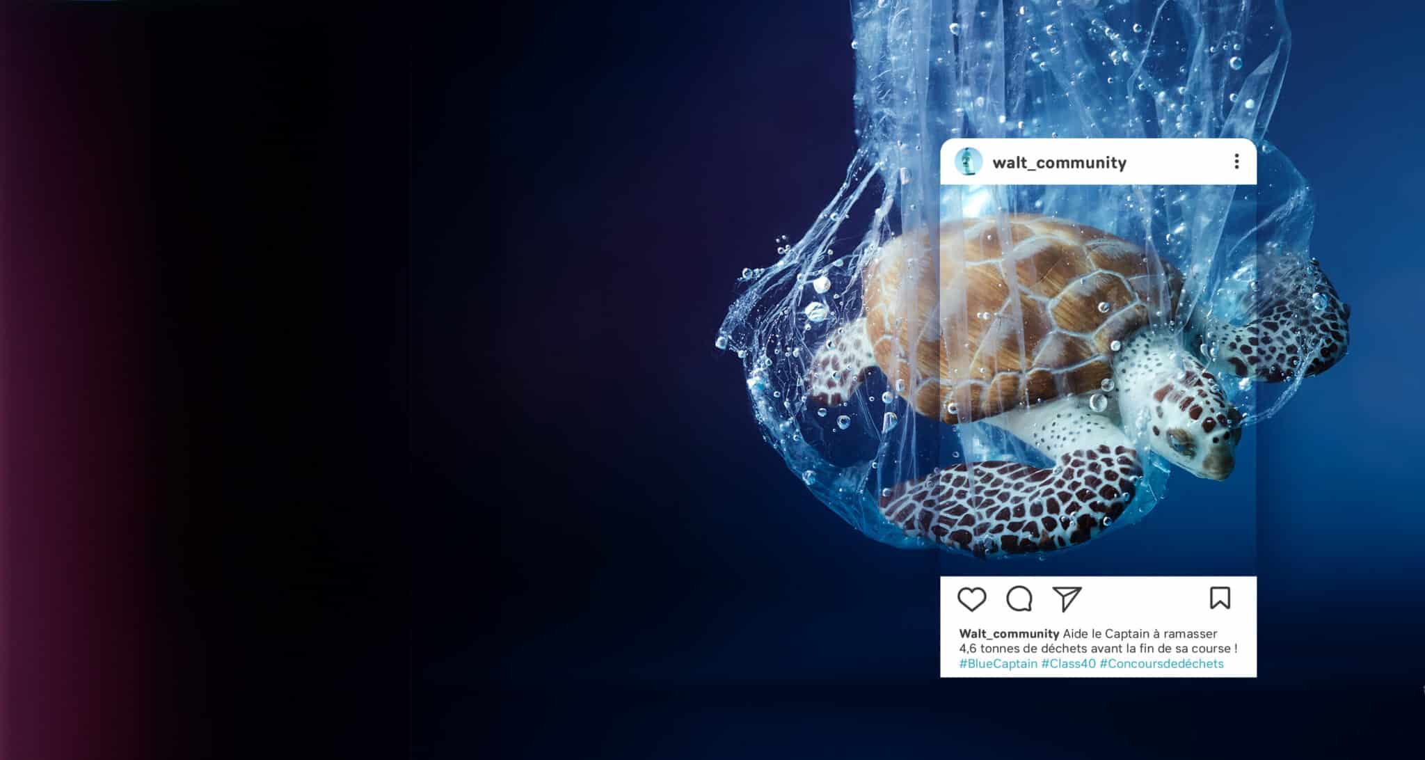 le plastique et la tortue 3 1 fond seul copie