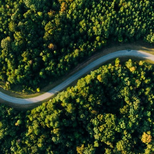 route en évolution dans une forêt