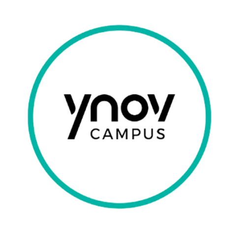 ynov